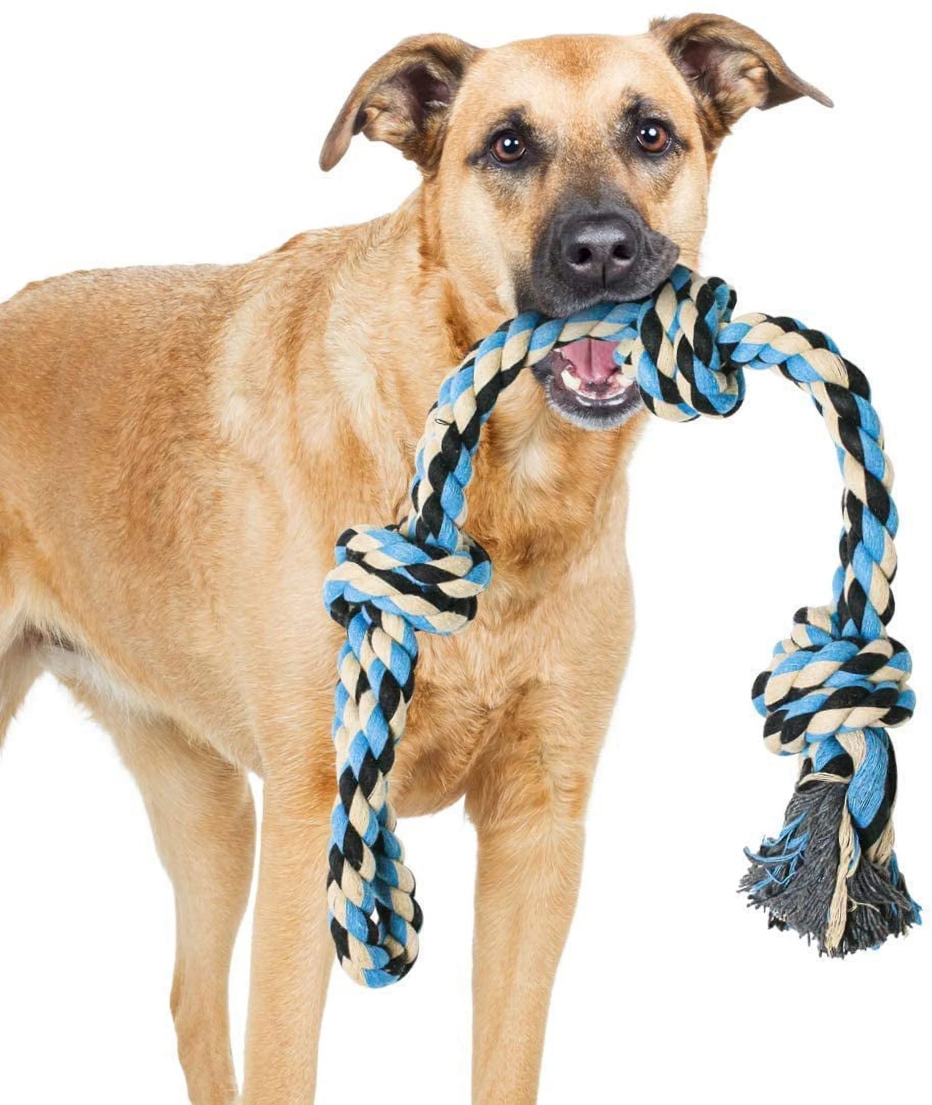 Interactive Dog Toys, Blue, Tough Twisted Rope Toy with 3 Knots