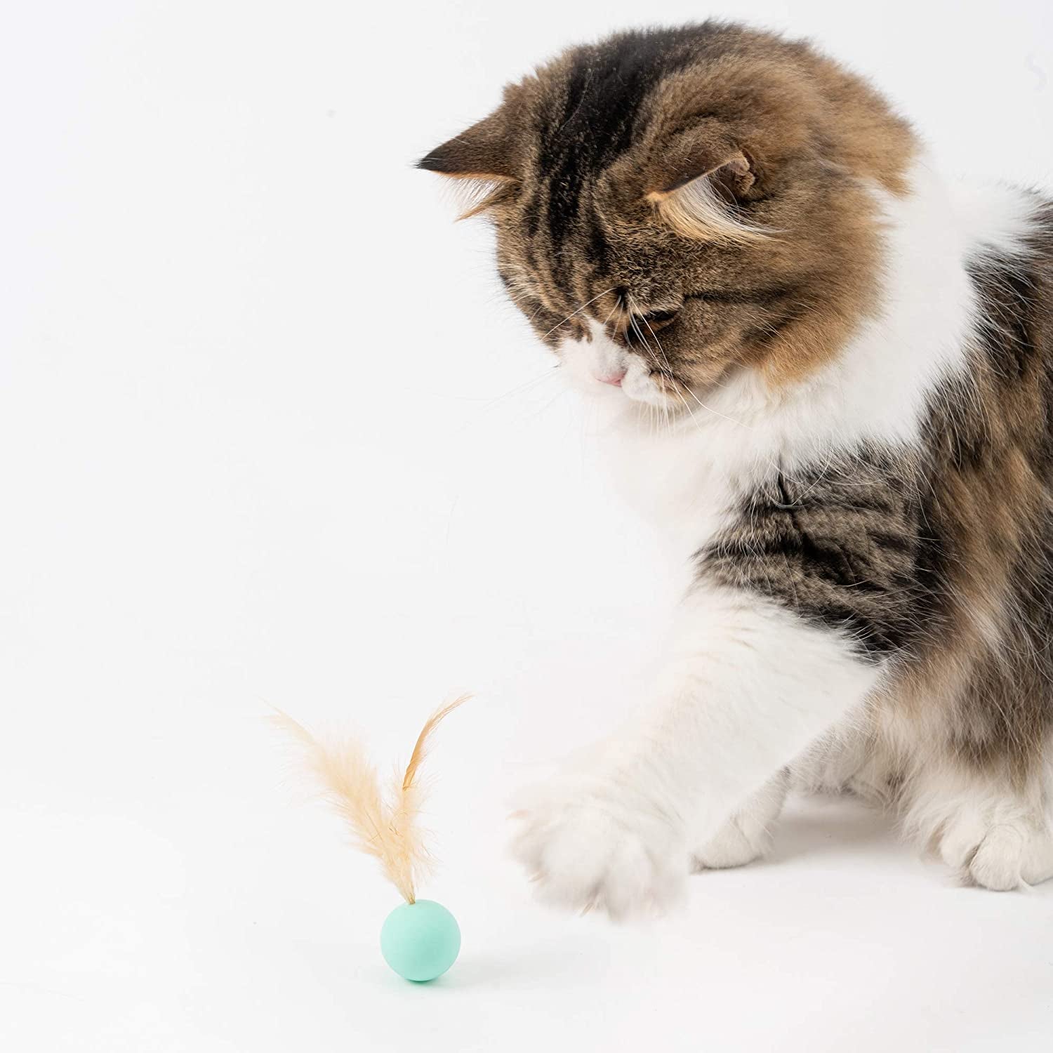 Cat Toys for Indoor Cats - Feather and Silica Gel Balls Pet Toys (6PCS)