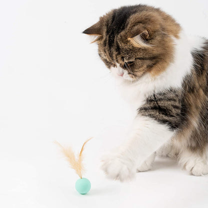 Cat Toys for Indoor Cats - Feather and Silica Gel Balls Pet Toys (6PCS)
