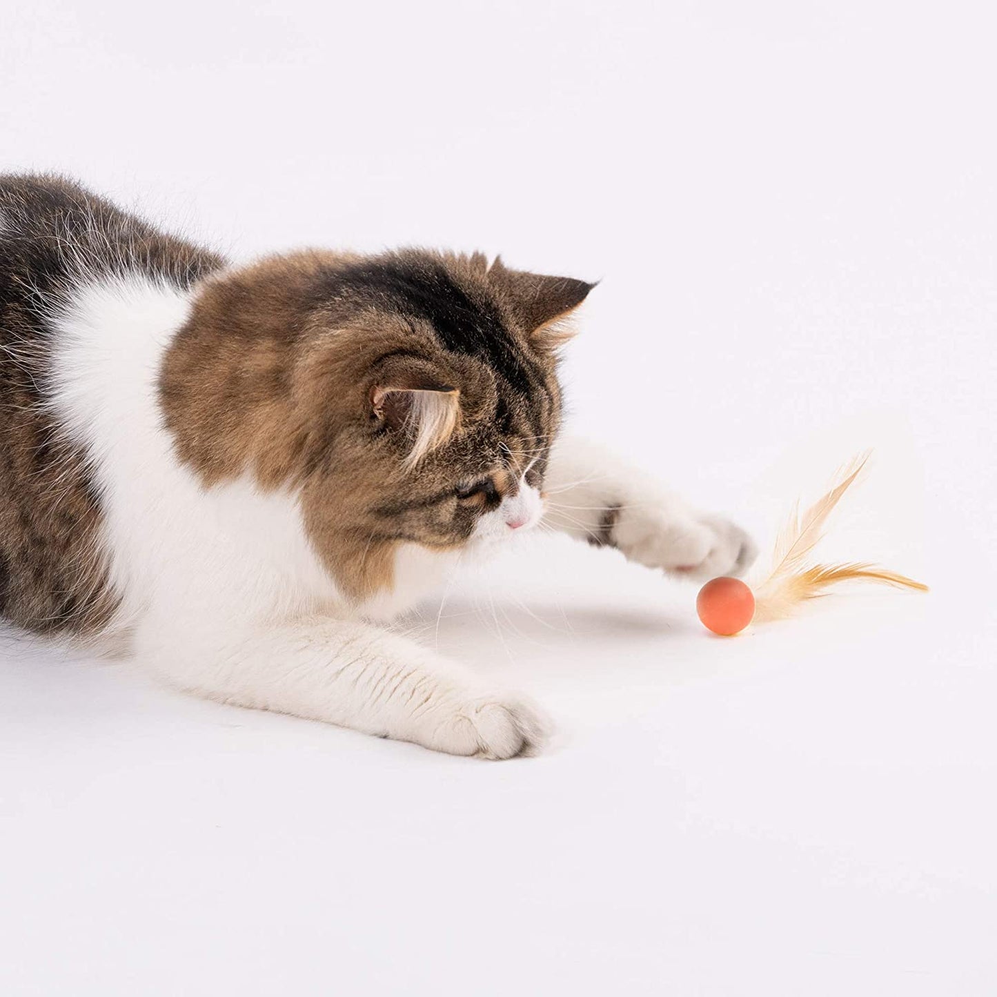 Cat Toys for Indoor Cats - Feather and Silica Gel Balls Pet Toys (6PCS)