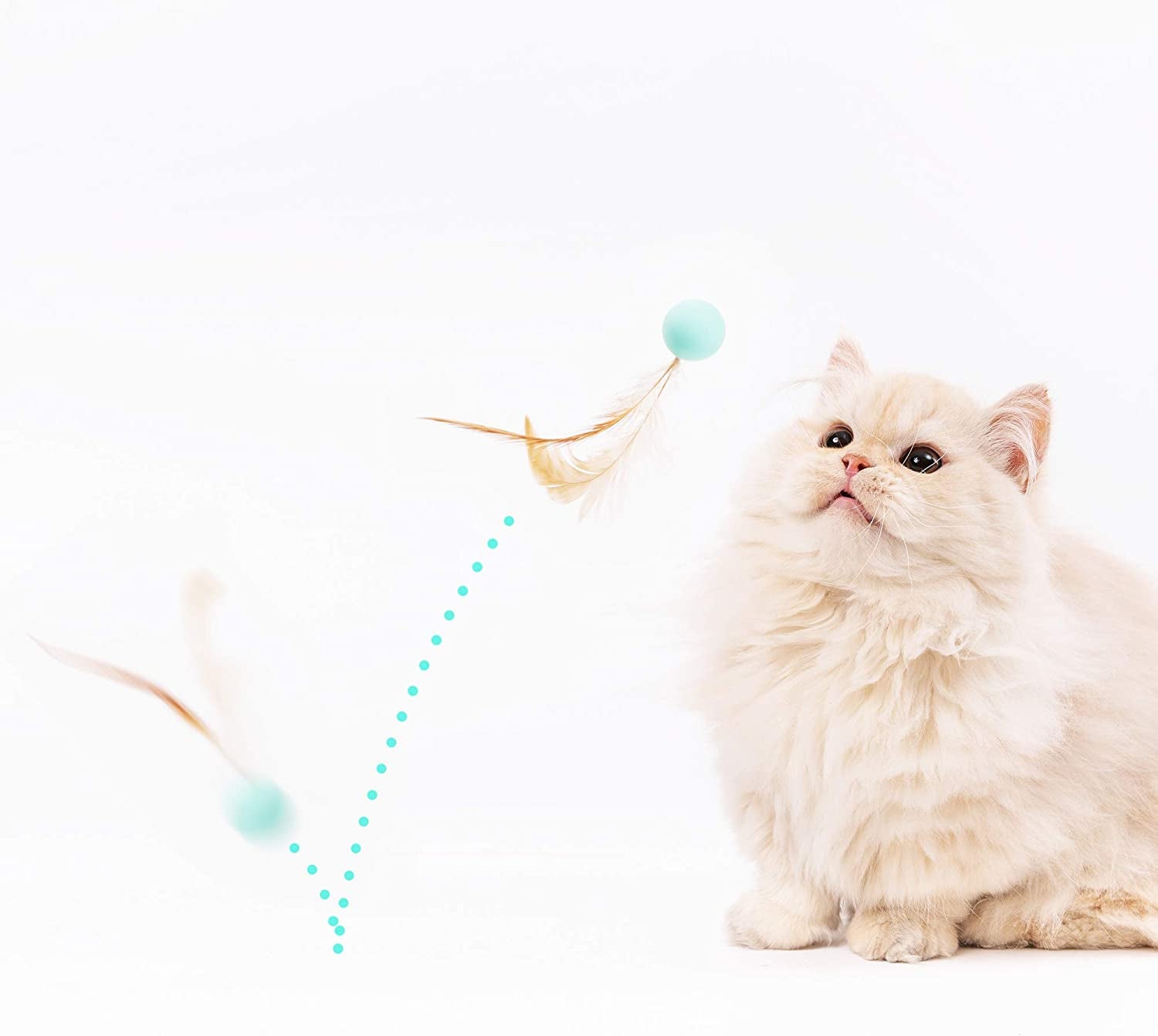 Cat Toys for Indoor Cats - Feather and Silica Gel Balls Pet Toys (6PCS)