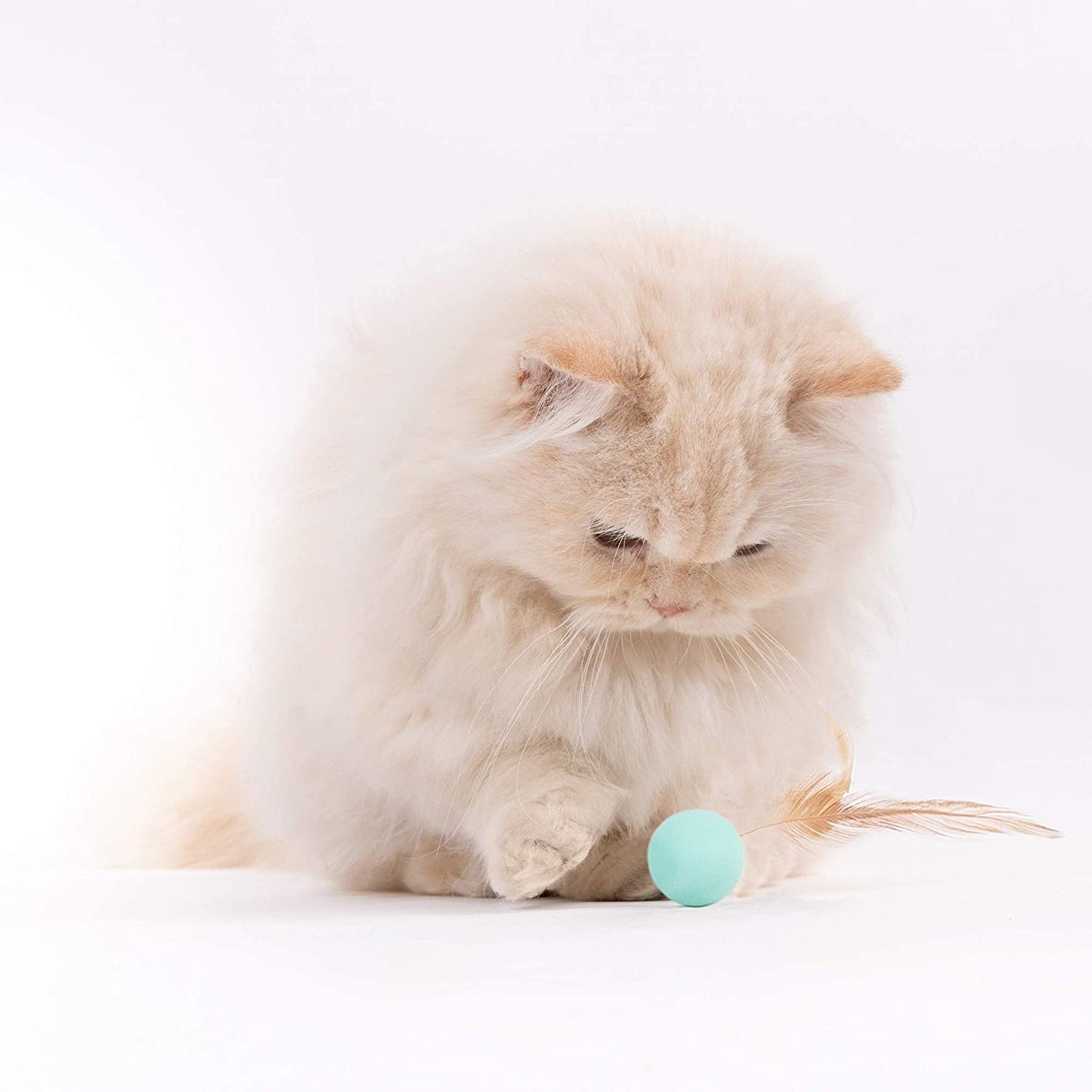 Cat Toys for Indoor Cats - Feather and Silica Gel Balls Pet Toys (6PCS)