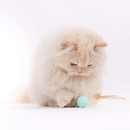 Cat Toys for Indoor Cats - Feather and Silica Gel Balls Pet Toys (6PCS)